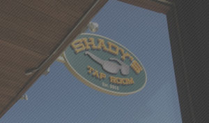 Shadys Bar & Pub Brooklyn MI